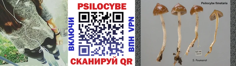 Псилоцибиновые грибы мухоморы наркотики Тетюши